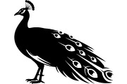 Bird Silhouette Vector Mega Bundle, an Animal Illustration by Designer_Momina (Thumbnail 3 of 21)