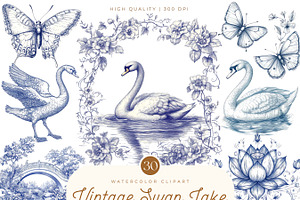 Vintage Swan Lake Clipart, an Animal Illustration by SparkyDesignsUS