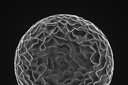 Ultra Thin Spheres 2, an Object Graphic by GarryKillian (Thumbnail 4 of 12)