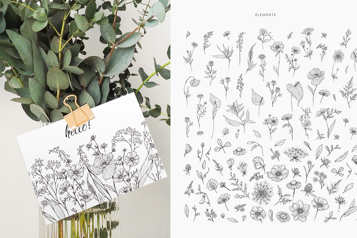 Wildflowers collection, a Decorative Illustration by Merfin (Photo 8 of 11)