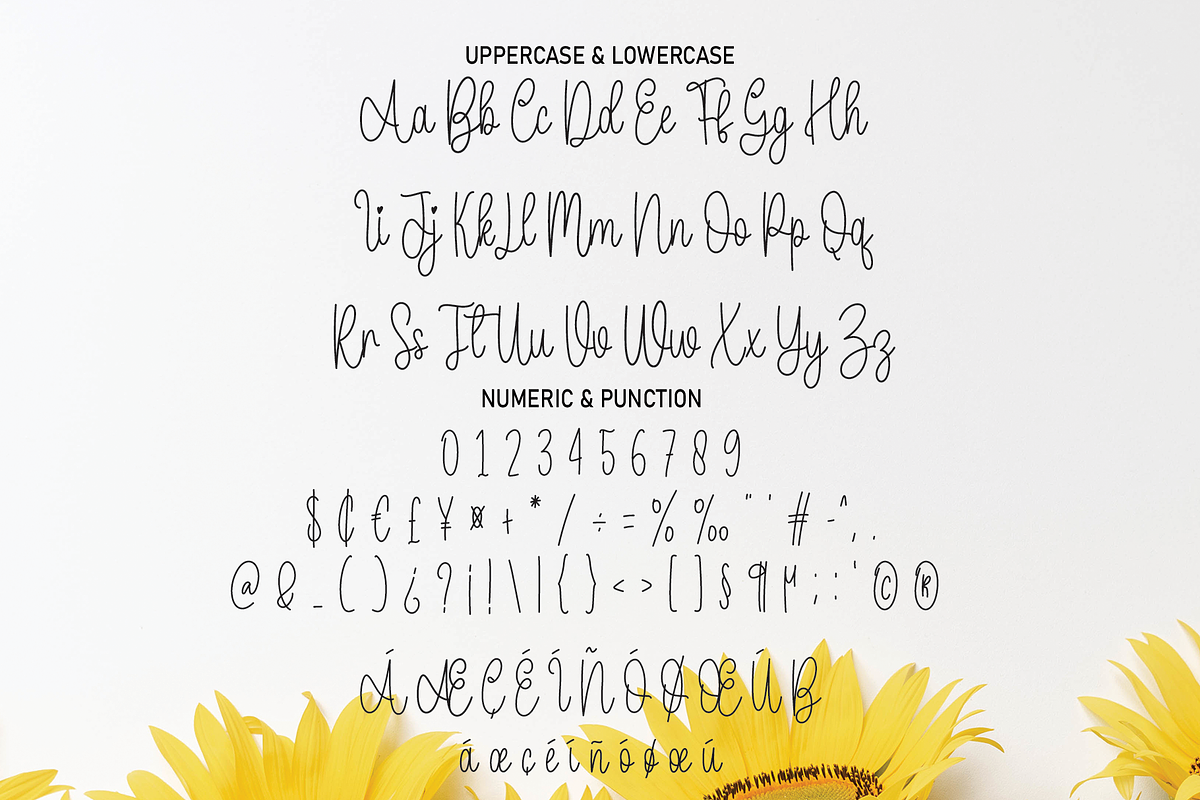 Daddy Bee | Script Font, a Script Font by Scratchones (Photo 3 of 8)