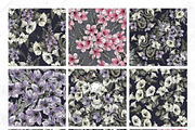 POISON | Watercolor HALLOWEEN set, a Decorative Illustration by Tanya Vollar (Thumbnail 14 of 16)
