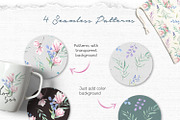 Watercolor Botanical Set, an Illustration by SOVA (Thumbnail 7 of 7)