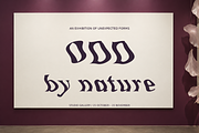 Petal Mirage — Expressive Liquid, a Serif Font by Colorsfav (Thumbnail 2 of 11)
