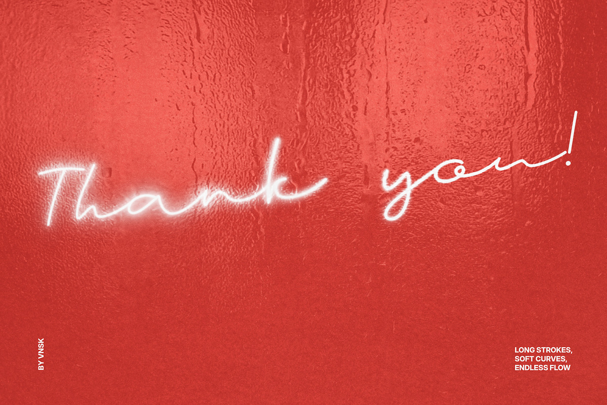 The Silver Halation Modern Script, a Script Font by Anastasiia VNSK (Photo 11 of 11)