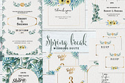 Spring Break Wedding Suite, an Invitation Template by ulndsgn (Thumbnail 1 of 8)