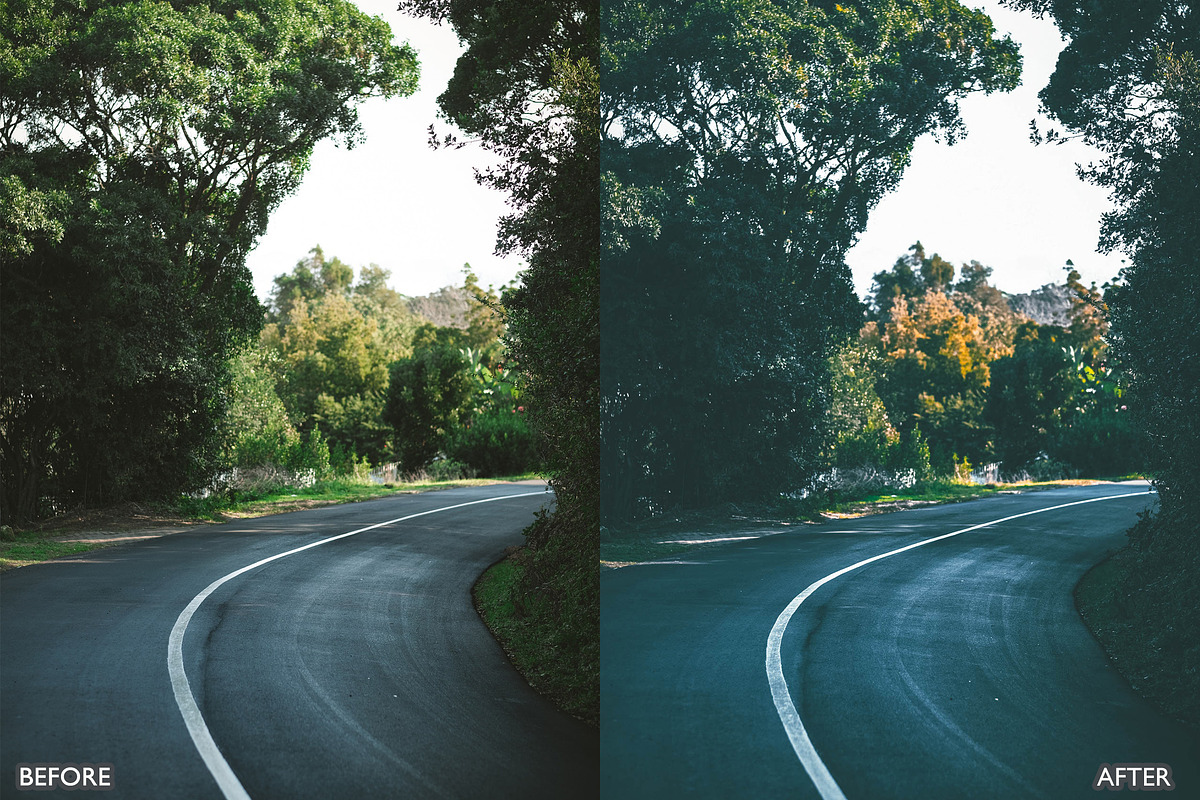 Moody Dark Green Lightroom Presets, a Preset Add-On by AAA Presets (Photo 15 of 19)