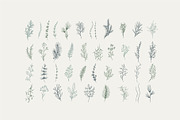 Winter Foliage collection, a Decorative Illustration by Merfin (Thumbnail 8 of 14)