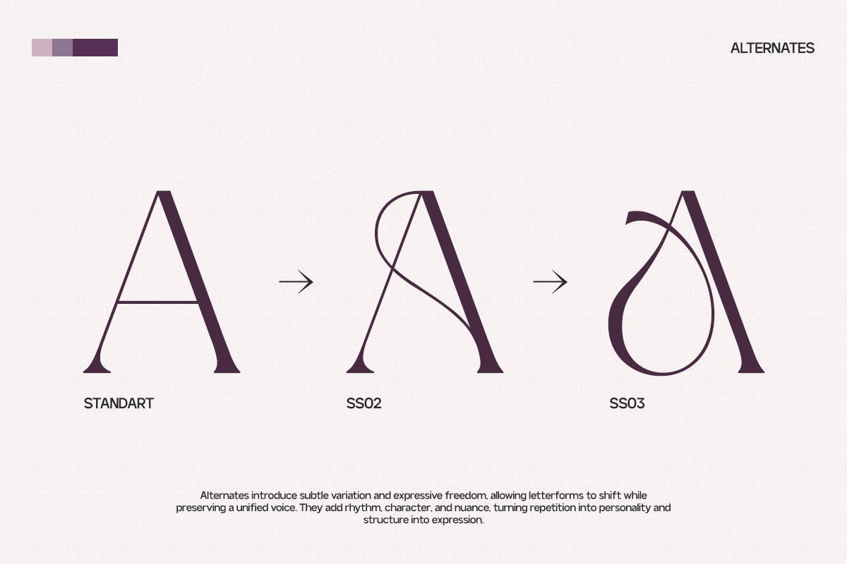 GC Adelite - Stylish Chic Serif, a Serif Font by Glyphonic (Photo 5 of 15)