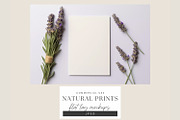 Natural Flat Lay Mockups Bundle, a Decorative Illustration by illuztrate (Thumbnail 11 of 15)