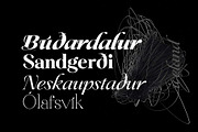 Ceciliany Serif Font Family, a Serif Font by Ryul Davidson (Thumbnail 21 of 25)