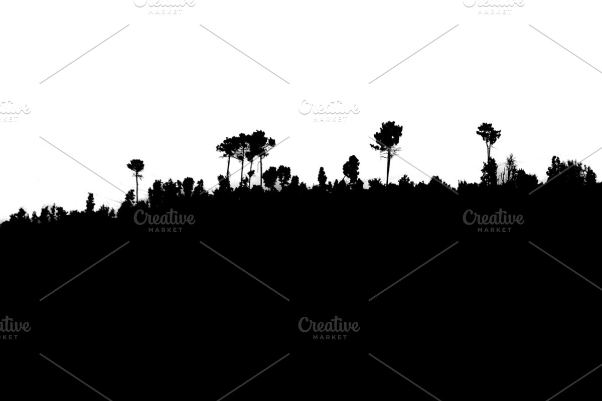 Rocky rural terrain with vegetation, a Background Graphic by DanFLCreativo