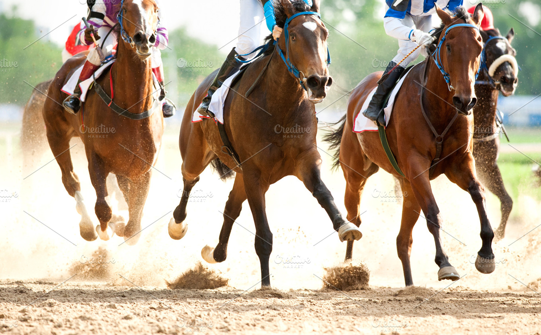 Horse race containing racehorses, thoroughbred, and pureblood, a Sports & Recreation Photo by Olgait