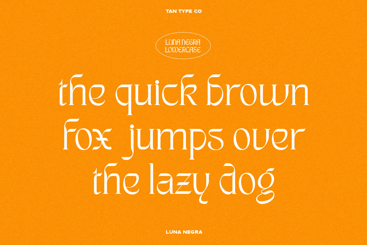 TAN - LUNA NEGRA, a Serif Font by TanType (Photo 10 of 16)