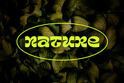 Sanur Font Duo Regular & Italic, a Font by ngene (Thumbnail 12 of 14)
