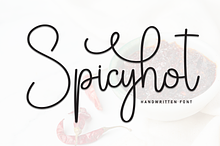 Spicyhot | Script Font