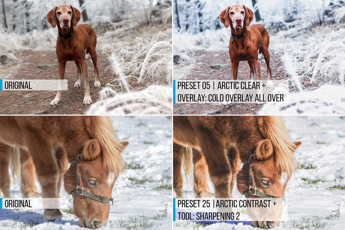 54 Winter Lightroom Presets preview 5