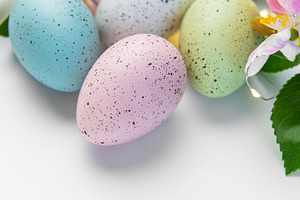 Pastel speckled easter eggs with spring flowers decoration, a Holiday Photo by Olena Rudo