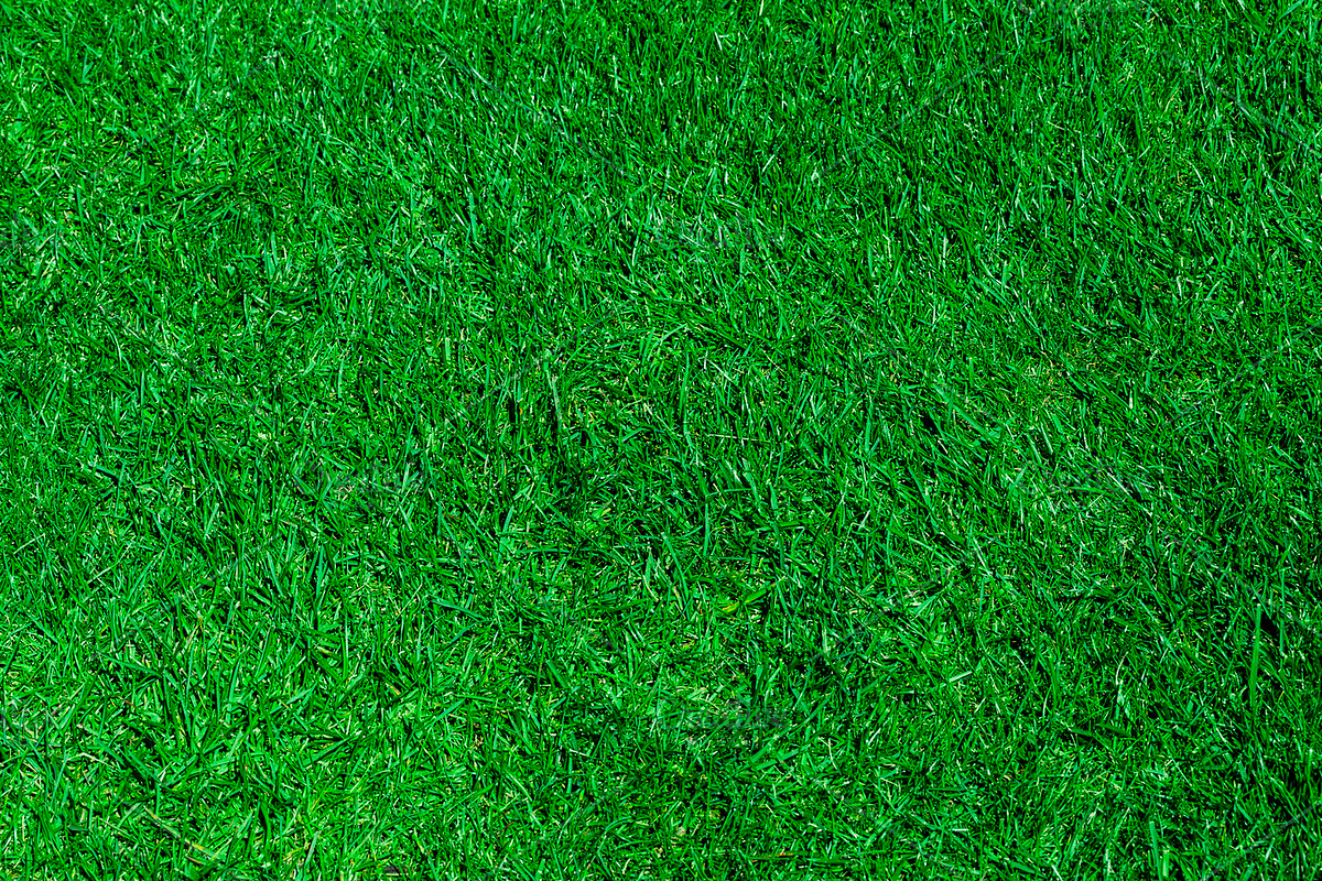 Green Grass Background Photo, a Texture Graphic by vovan