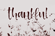 Hartfordshire, a farmhouse font, a Script Font by Rachel White Art (Thumbnail 14 of 14)