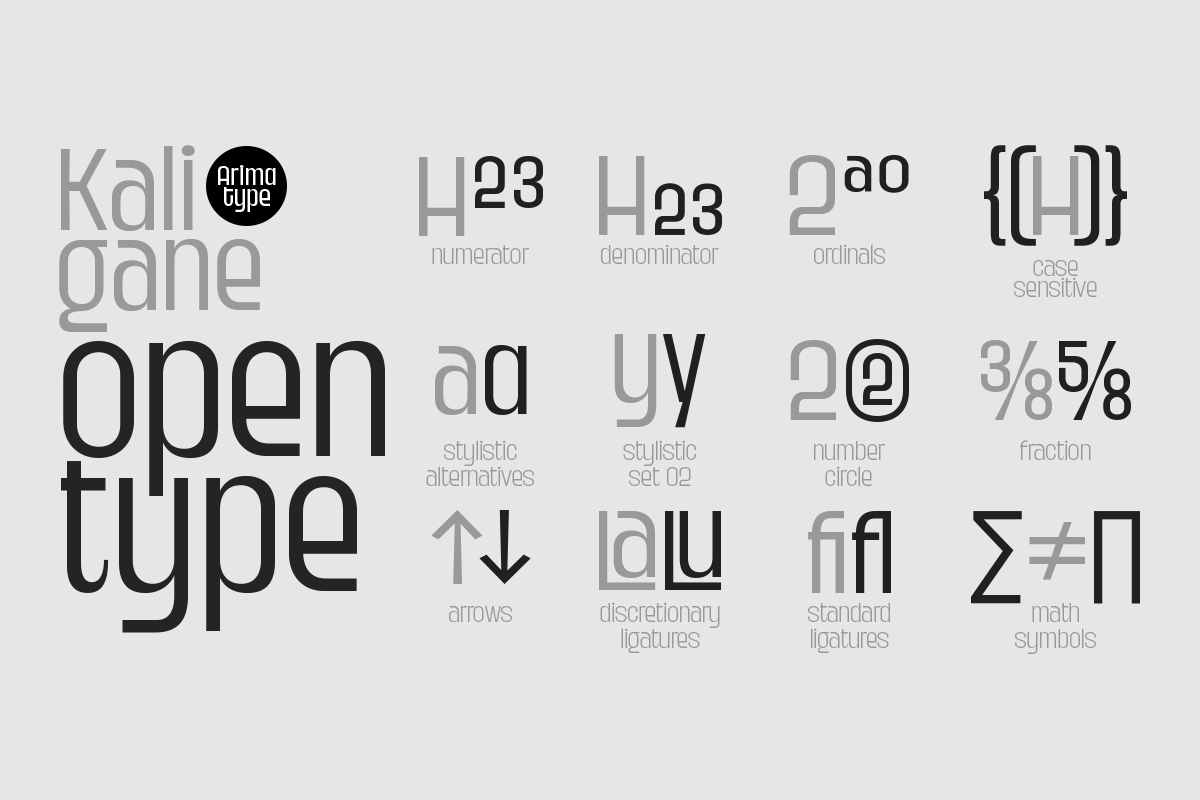 Kaligane, a Sans Serif Font by ArimaType (Photo 5 of 10)