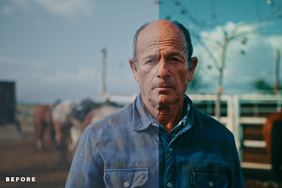 Hollywood LUTs for Color Grading, an Action Add-On by Presetsh.com (Photo 9 of 14)