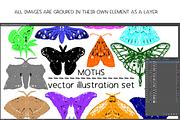 Moths - vector illustration set, an Animal Illustration by Renée from Studio neetje (Thumbnail 3 of 5)
