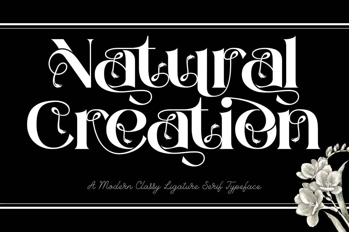 Natural Creation - Decorative Font, a Serif Font by 177Studio (Photo 1 of 8)
