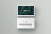 J U N I P E R Business Card Template, a Business Card Template by 46&2 Collective (Thumbnail 3 of 9)