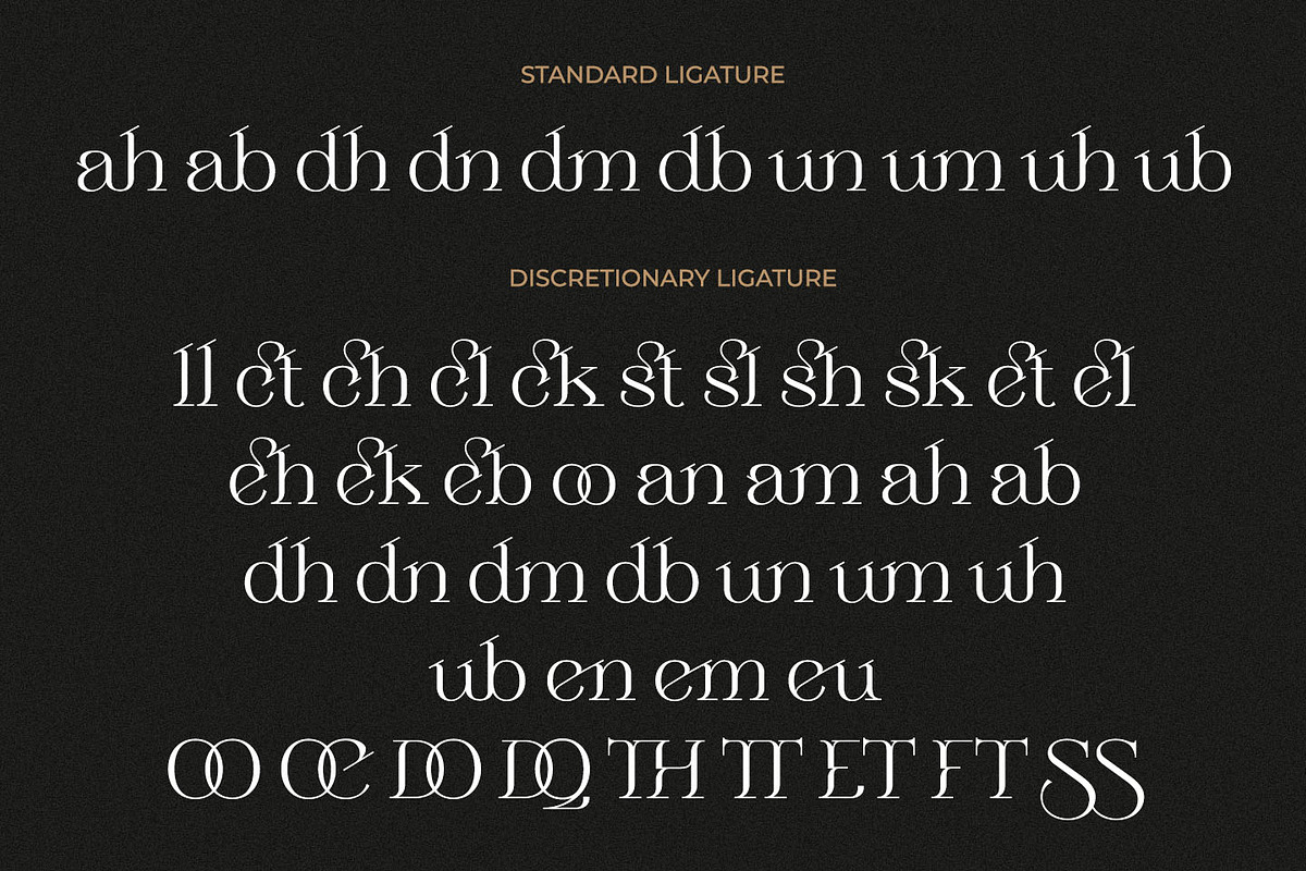 SALE Sebian - Elegant Serif Font, a Serif Font by Kulokale (Photo 9 of 12)