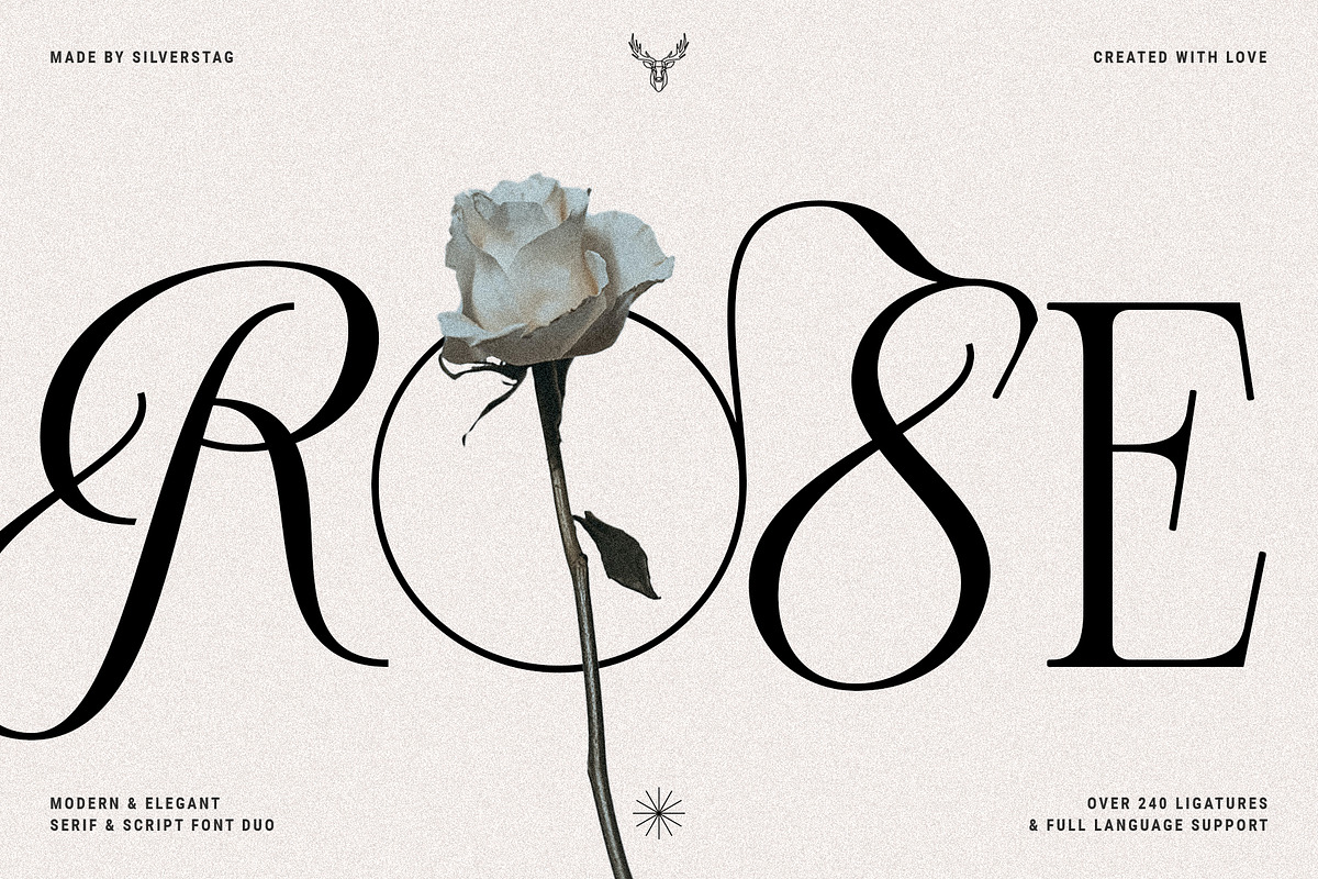 Bespoke Display - Serif & Script Duo, a Serif Font by SilverStag Type Foundry (Photo 3 of 36)