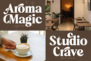 Aroma Baked Modern Serif Display, a Serif Font by timelesstype.co (Thumbnail 14 of 20)