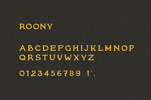 Roony I A Handmade Serif Font