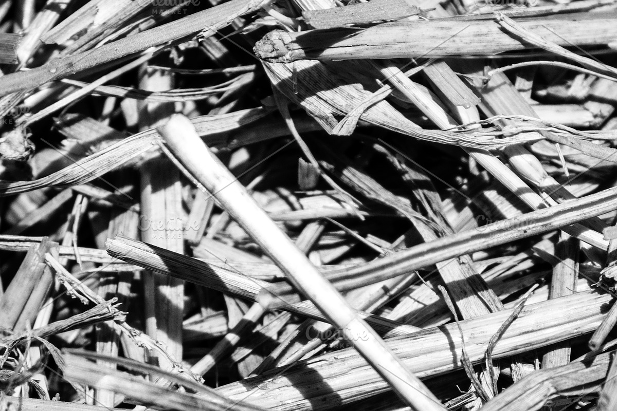 The straw lies on the ground, an Abstract Photo by Schreibikus (Photo 6 of 7)