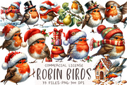 Christmas Robin Birds Clipart, an Illustration by OK Design (Thumbnail 1 of 5)