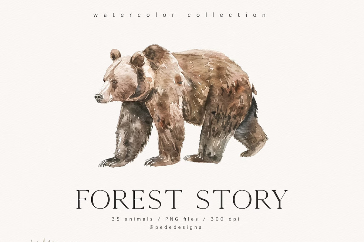 Forest Story, an Animal Illustration by PeDe Designs (Photo 3 of 10)