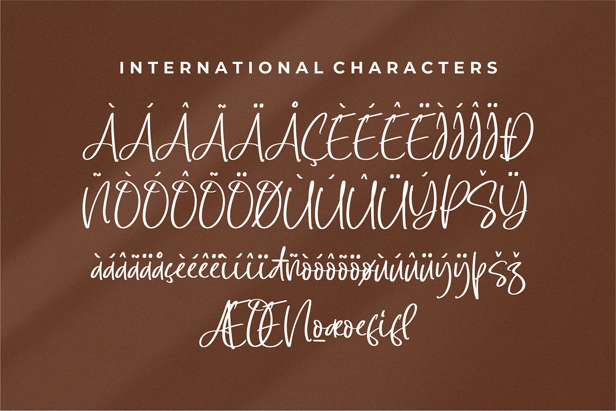 Sellaheby, a Script Font by Integritype Studio (Photo 9 of 15)