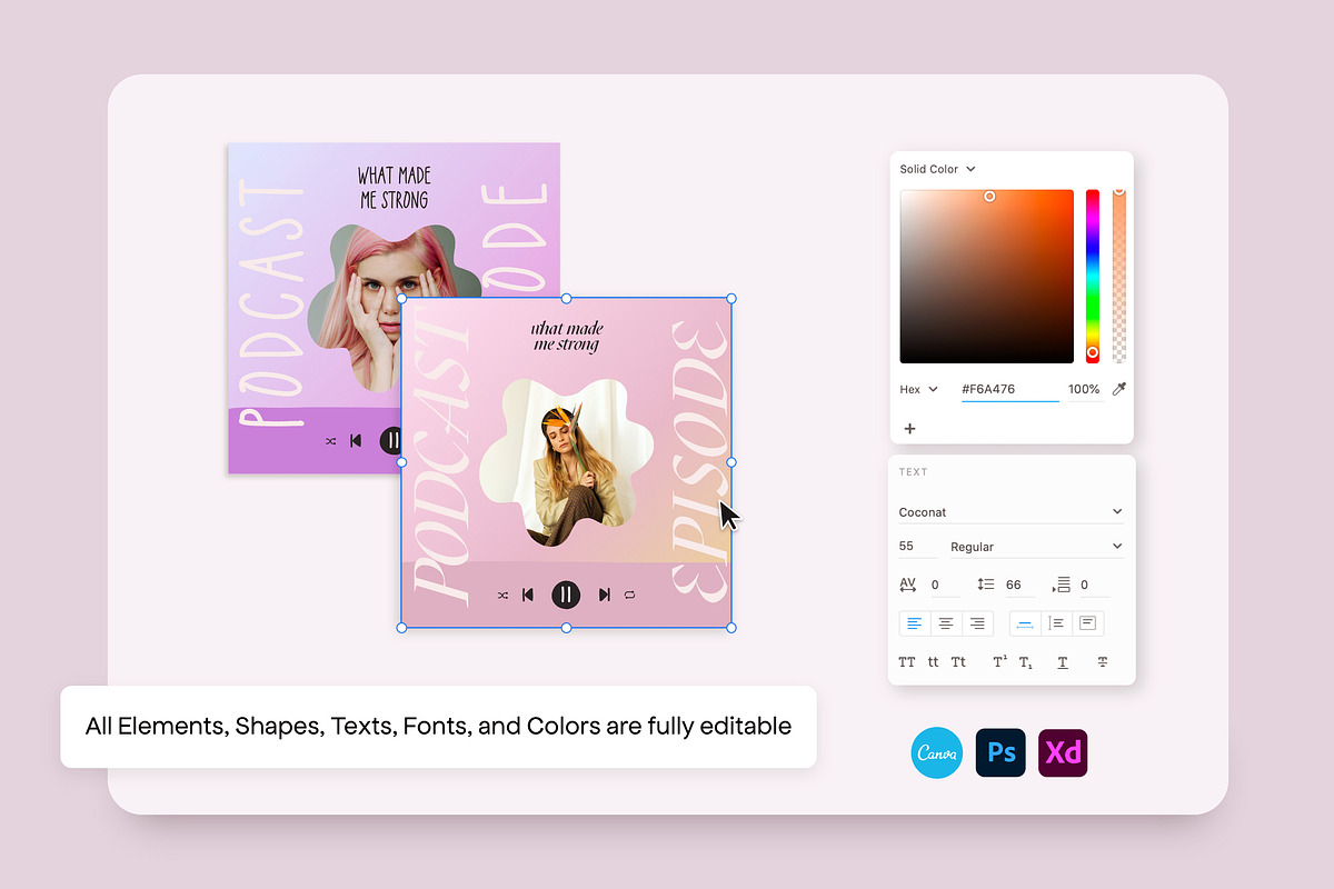 Podcast and Live Instagram Creator, a Social Media Template by Sparrow & Snow (Photo 4 of 19)