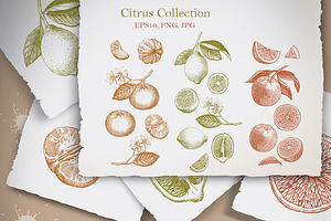 Citrus Collection