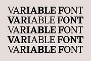 Marjorie Variable Serif + Italics, a Font by That That Creative (Thumbnail 12 of 14)