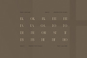 Groky Elegant Ligature Serif Font, a Serif Font by Perfectype (Thumbnail 8 of 8)