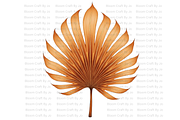 Dried Palm Leaves, a Decorative Illustration by Bloom Craft Creations (Thumbnail 1 of 10)