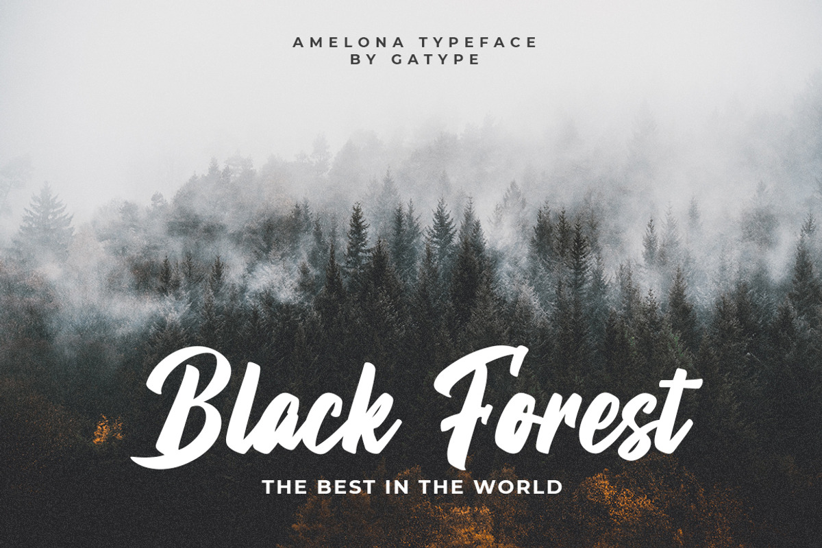 Amelona, a Handwritten Font by Gatype (Photo 6 of 9)