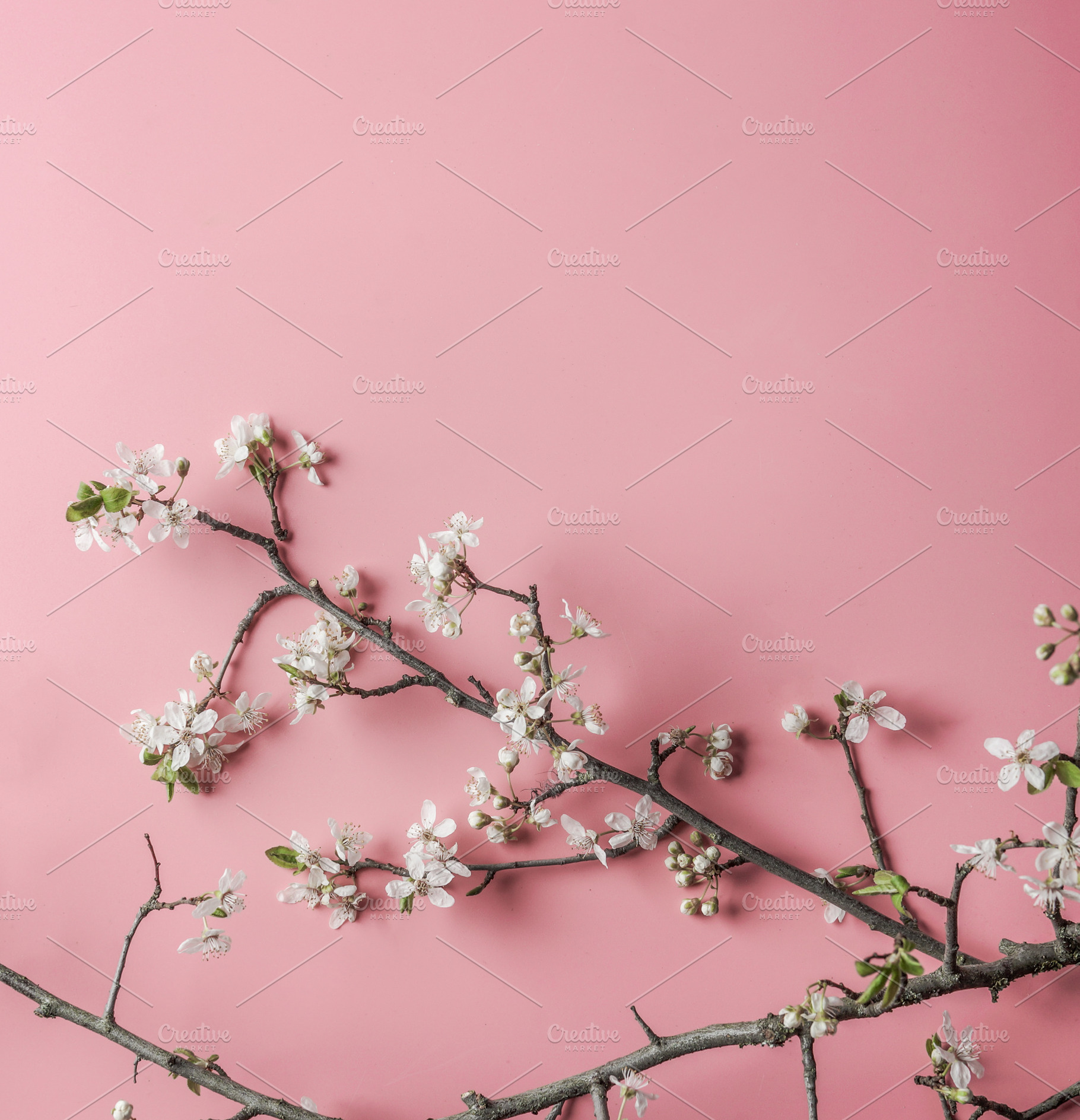Springtime background, a Background Photo by VICUSCHKA