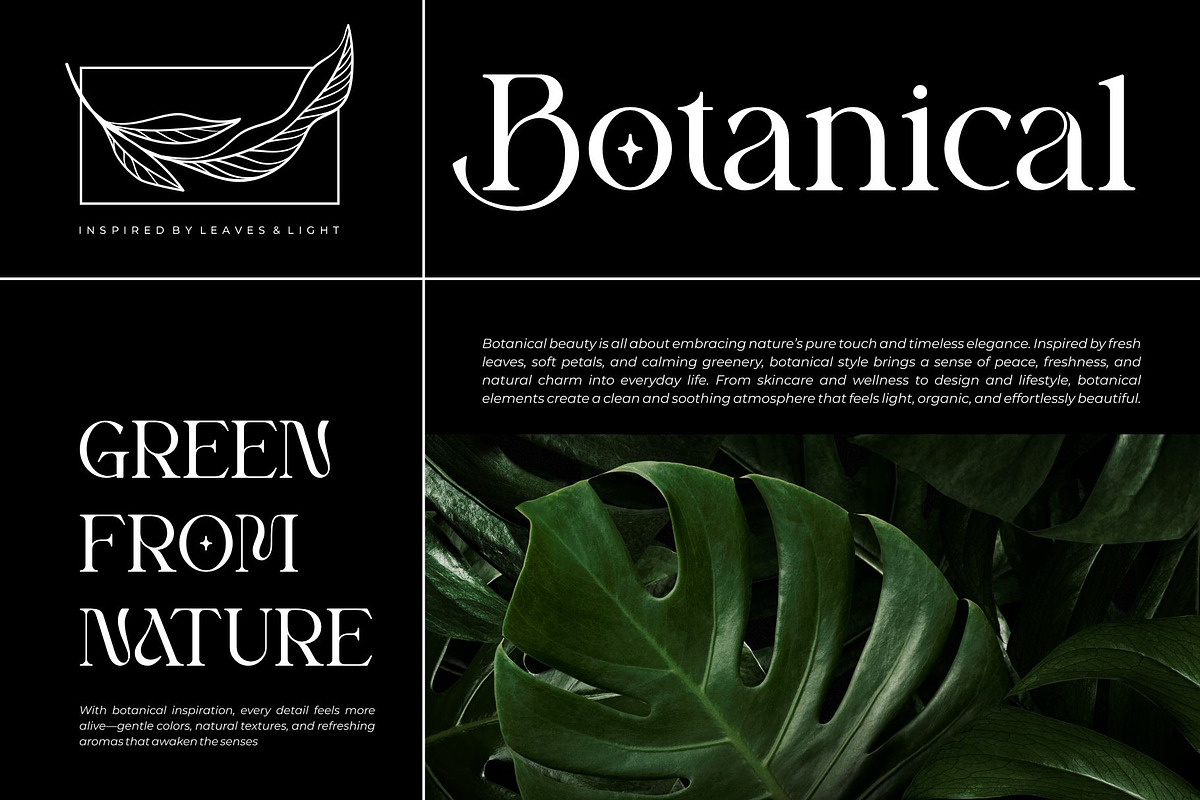 Brilega Fadone | Modern Classy Serif, a Serif Font by Ermedia Studio (Photo 2 of 10)