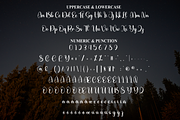 Night | Script Font, a Handwritten Font by Scratchones (Thumbnail 7 of 9)