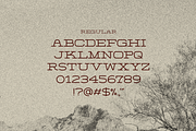 Burro Wash - Slab Serif Display Font, a Slab Serif Font by Sombrero Craft (Thumbnail 2 of 6)