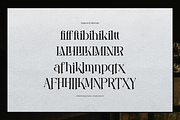 Rubington | Modern Display Serif, a Serif Font by gracetype_studio (Thumbnail 11 of 12)