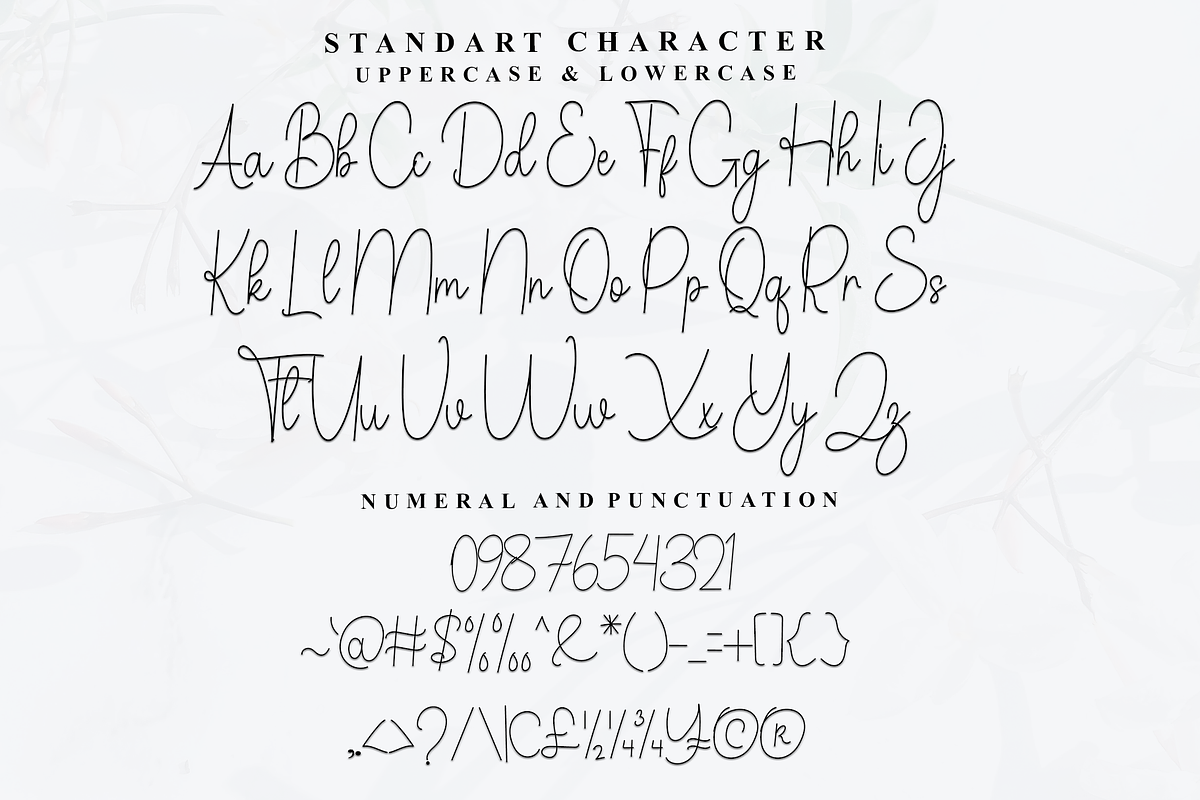 Daniel Signature, a Handwritten Font by FreshTypeINK (Photo 2 of 8)