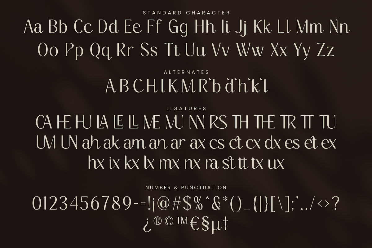 Bellamora - Aesthetic Script Font, a Script Font by Dikas Studio (Photo 6 of 10)